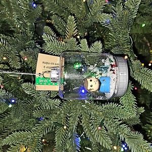 Star Trek DIY Ornament